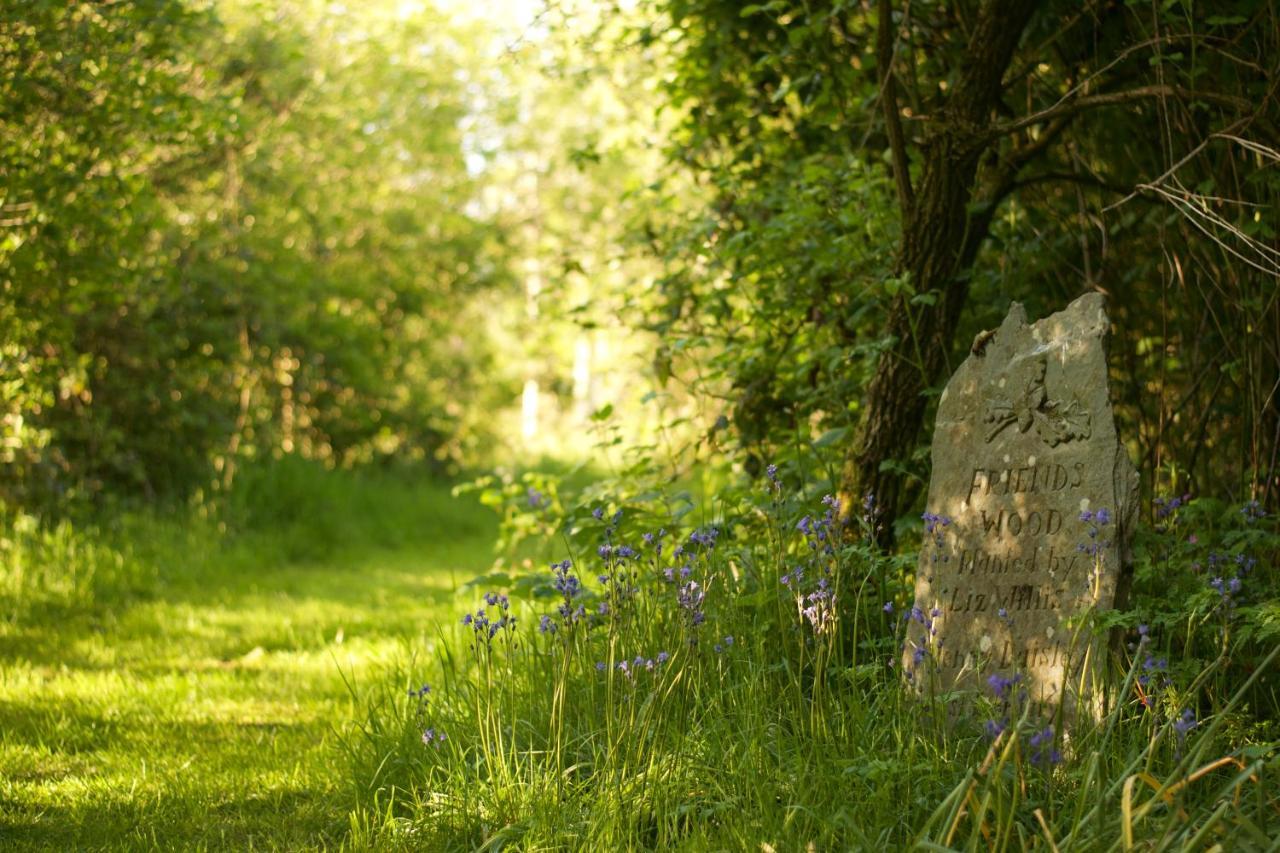Bed and Breakfast Holwell Holistic Retreat Barnstaple Exterior foto